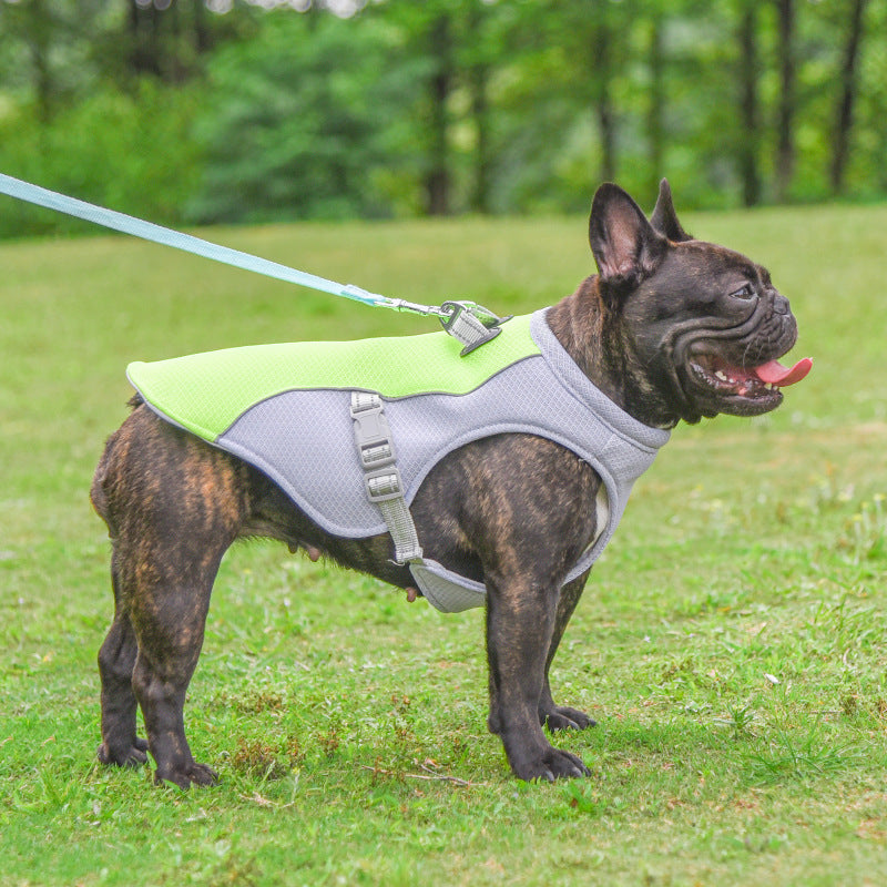 Cool Dog Summer Vest – Breathable, Sun-Proof Cooling Jacket for All Sizes